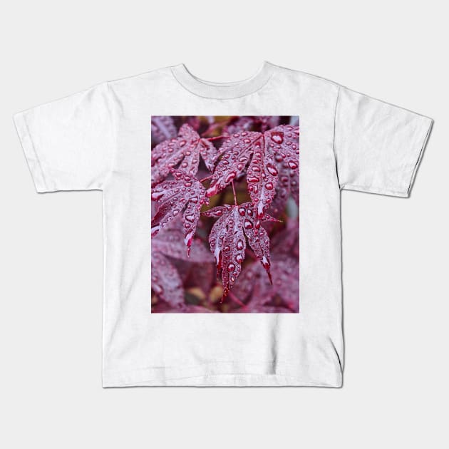 Japanese Acer Palmatum Atropurpurea Shrub Kids T-Shirt by avrilharris